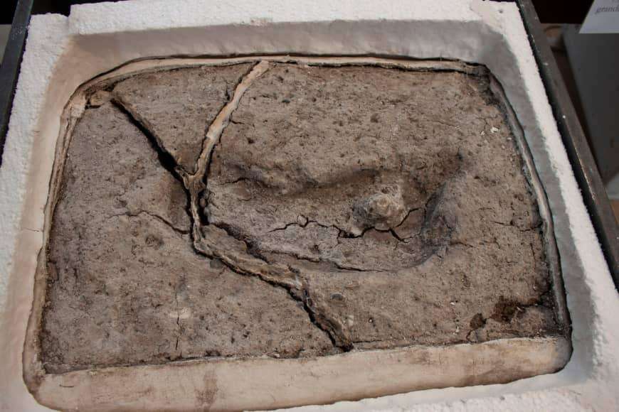 चिली के वैज्ञानिकों ने 15 हजार साल पुराना पदचिन्ह मिलने का किया दावा