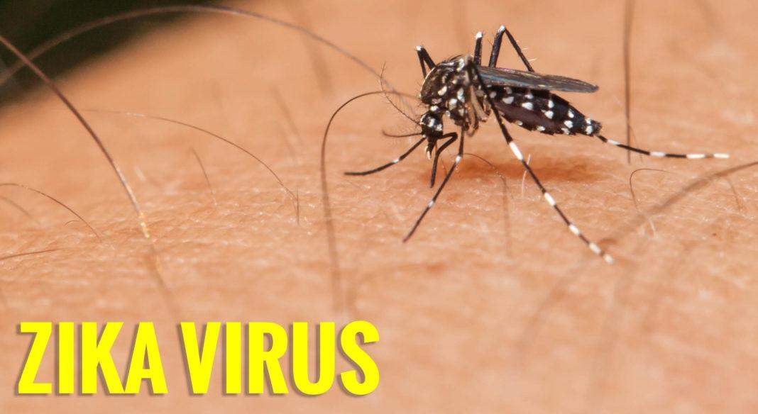 केवल एडीज मच्छर से नहीं फैलता है डेंगू, नए मच्छर का पता चला