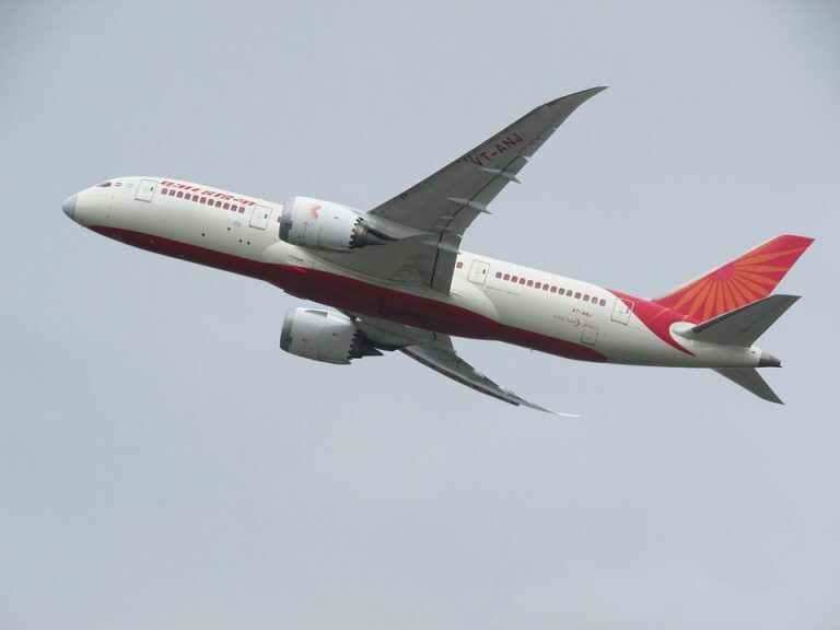 एयर इंडिया की बिक्री में देरी का जानें बड़ा कारण