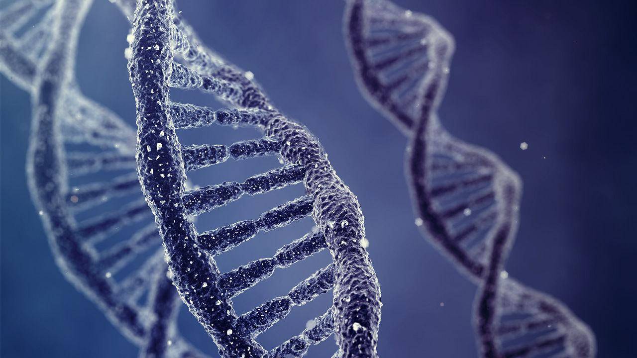 पहचान के अलावा डीएनए में मौजूद होती हैं और भी कई महत्वपूर्ण जानकारियां