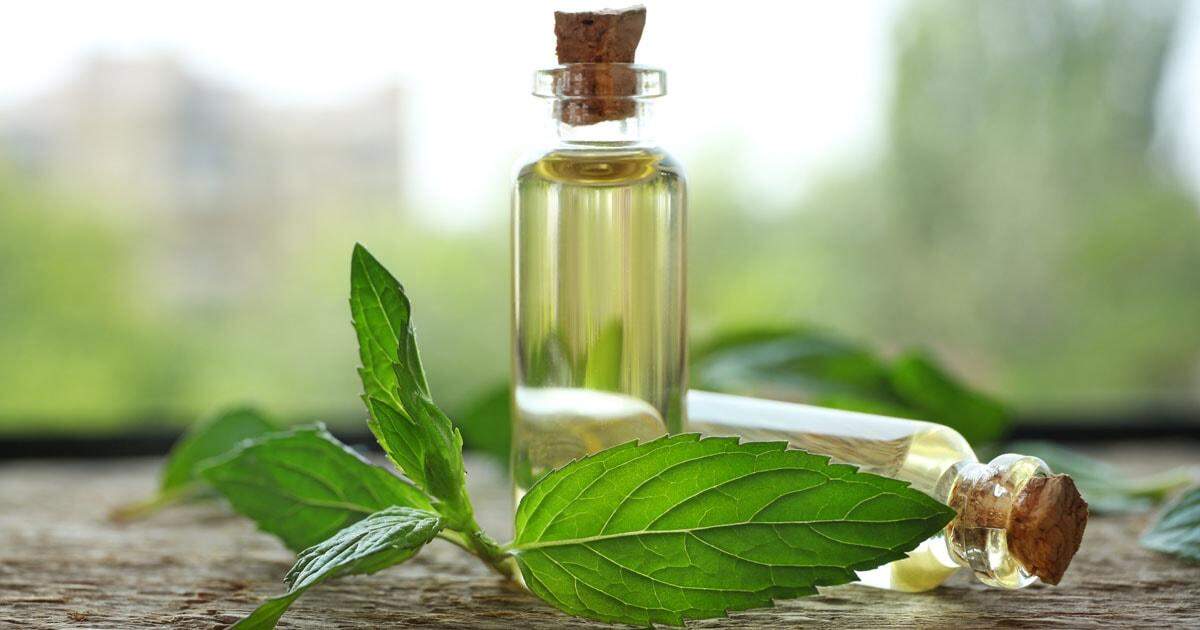 तेल के इस टोटके से मिटेंगे जीवन के कई दोष