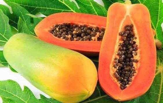 Healthy Food : पपीते के स्वास्थ्य लाभ के बारे में पढ़ें