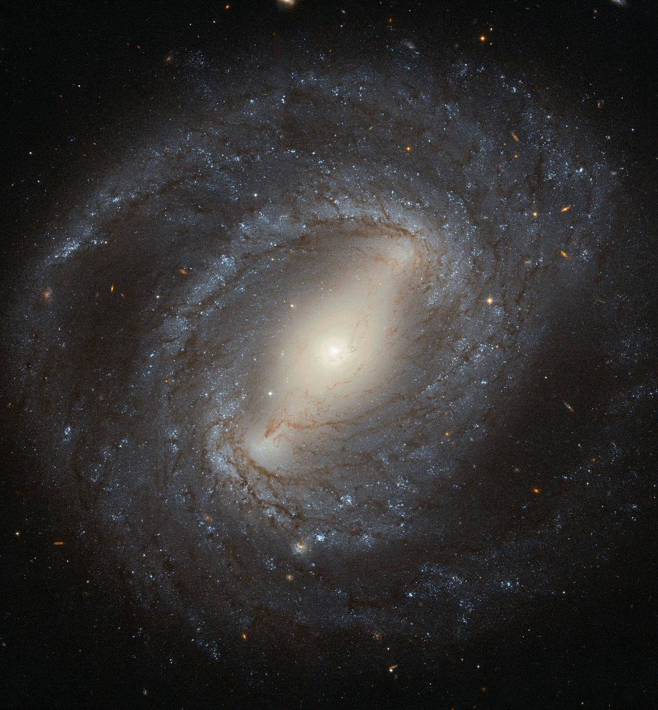 नासा ने एक वर्जित सर्पिल आकाशगंगा की तस्वीर साझा की है। अभी तक देखा?तो देखें