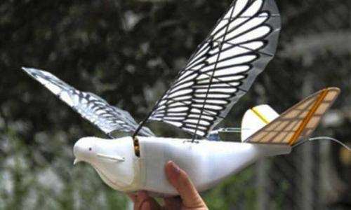 पक्षियों की तरह उड़ने वाले ये विशेष रोबोट किये जा रहे विकसित