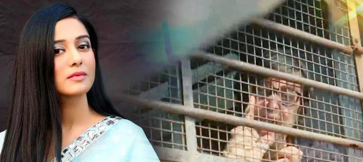 Amrita Rao: अर्नब गोस्वामी के सपोर्ट में कंगना के बाद अमृता राव, की रिहाई की मांग