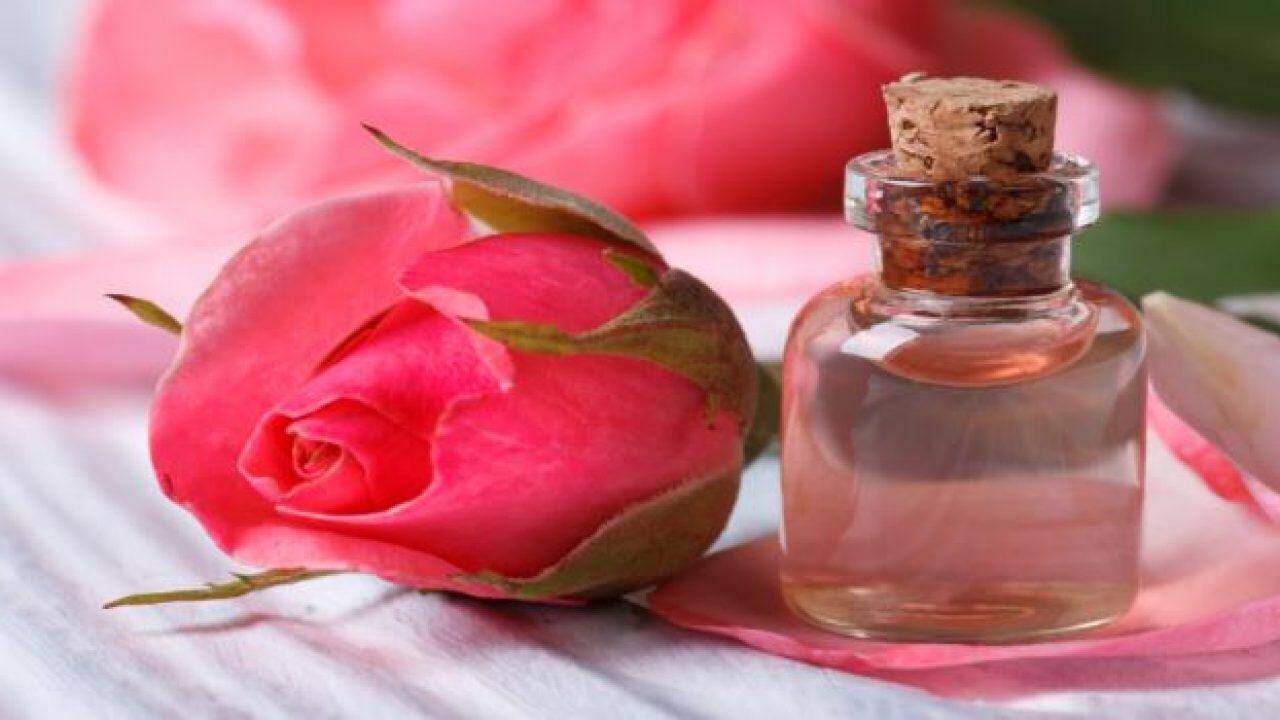 Beauty Tips: घर पर ही गुलाब जल बनाएं, कुछ ही दिनों में आपके चेहरे पर फर्क नजर आएगा