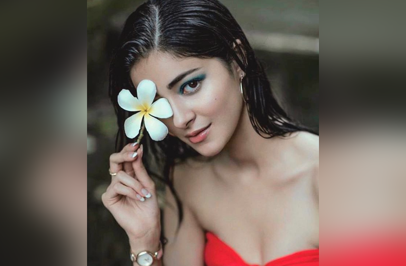 Ananya Panday: बॉलीवुड के बाद साउथ में डेब्यू करने वाली हैं अनन्या पांडे, इस अभिनेता के साथ आएंगी नजर
