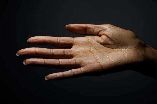 हस्तरेखा: जानिए शुक्र पर्वत की विशेषता एवं इसका कार्य