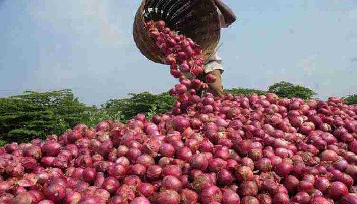 India  ने दी बांग्लादेश को प्याज निर्यात की अनुमति