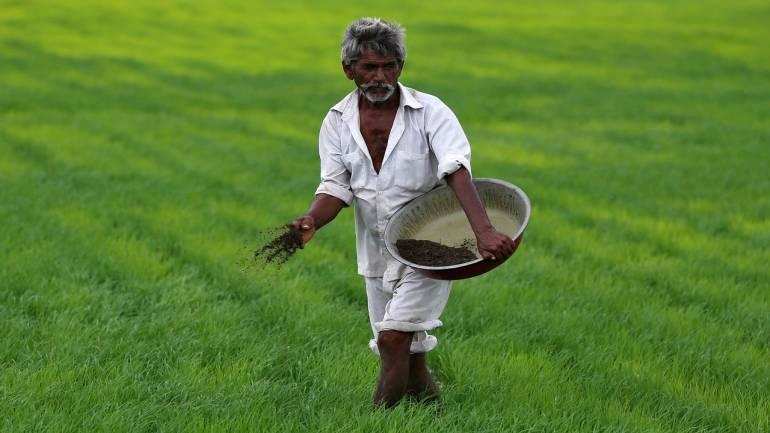 MP में बड़ा घोटाला! आदिवासी किसानों के 100 करोड़ खा गए अफसर