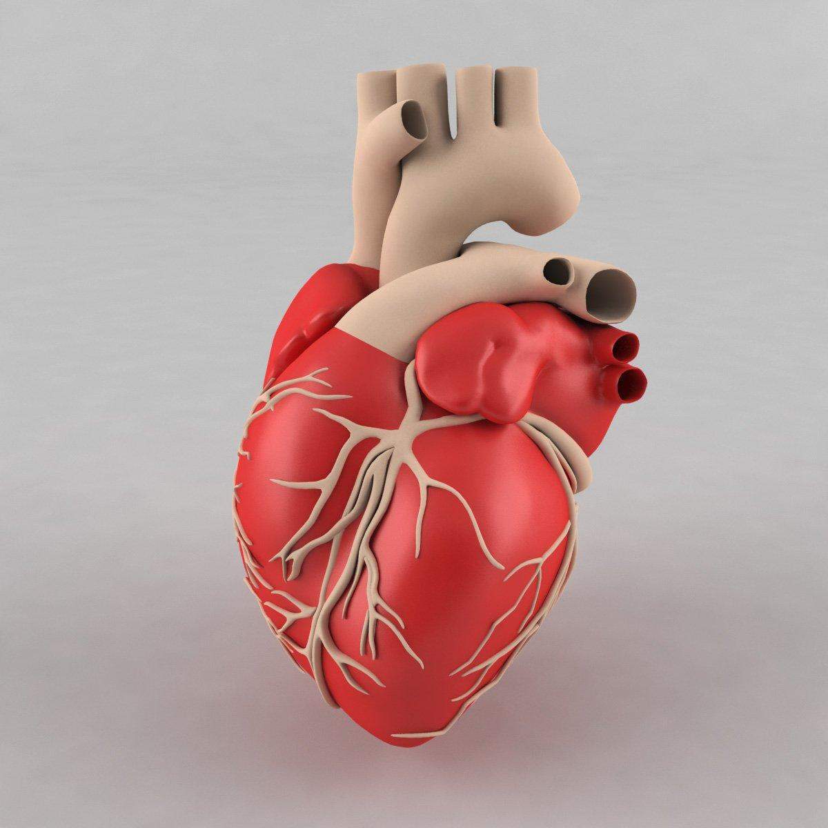 वैज्ञानिकों ने बनाया 3डी दिल,जो देगा मनुष्य को नया जीवन