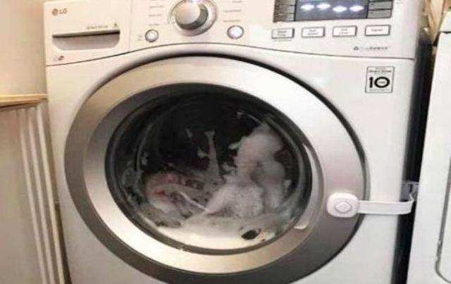 घर के इस दिशा में गलती से भी न रखें वाशिंग मशीन, नहीं तो हो जाएंगे कंगाल
