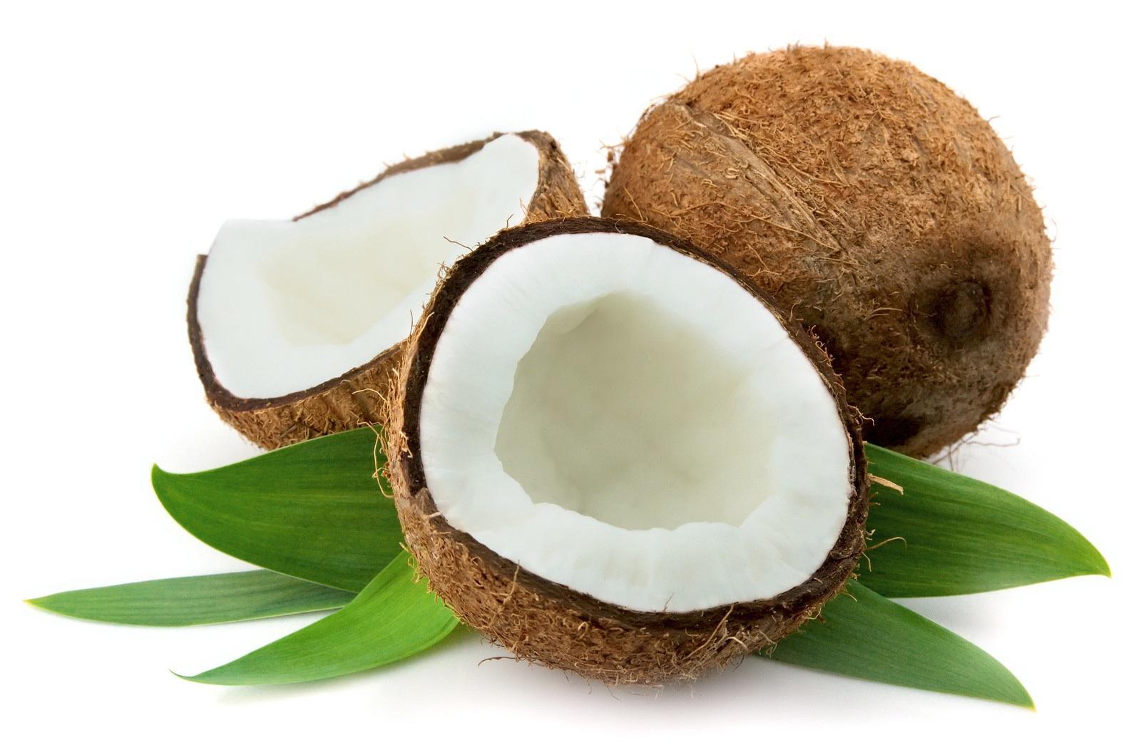 शास्त्रों में बताई नारियल की इन विशेष बातों को नहीं जानते होंगे आप, यहां जाने इन खास बातों को