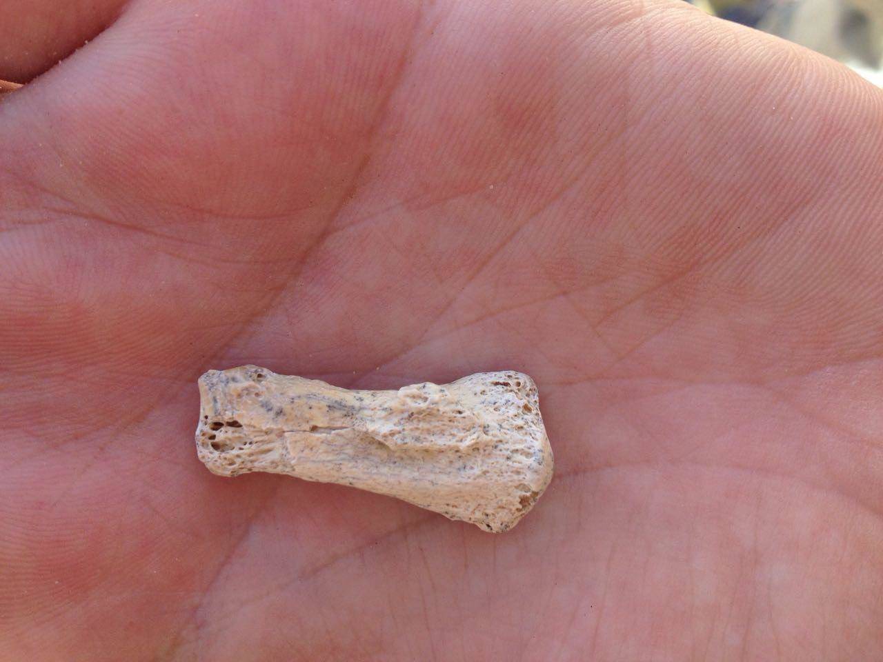 इस अरब देश में 85000 साल पुरानी इंसानी उंगली मिली