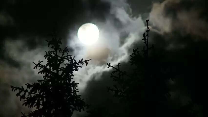 Somvati amavasya 2023 shubh muhurta and vidhi