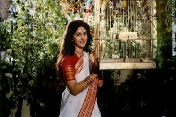 Meenakshi Sheshadri: 90 के दशक की ये अदाकारा करना चाहती हैं बॉलीवुड में वापसी