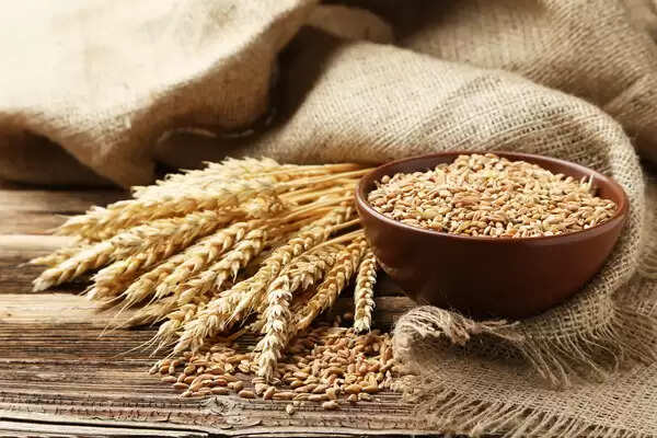 Wheat Benefits: जानिए गेहूं के 5 औषधीय गुण,जिन्हें जानकर आप हैरान रह जाएगें