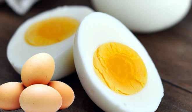 अंडों से प्रदूषण रहित बनायेंगे ऊर्जा जिससे रहेगा वातावरण शूद्ध