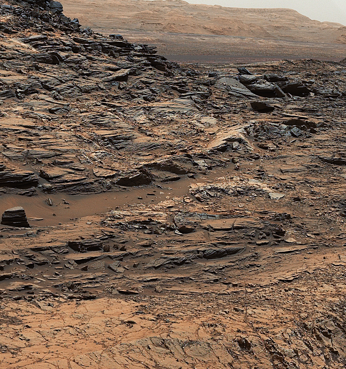 मंगल   ग्रह   की  नई    छवियां रिलीज की  गई है। 