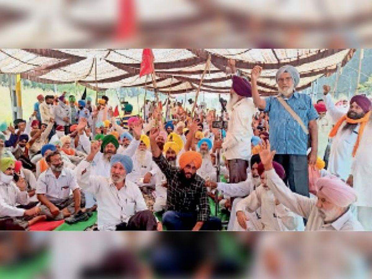 Farmers Protest :  खेल जगत से मिला  समर्थन, जानिए कौन से खिलाड़ी  किसानों के हक में खड़े हुए