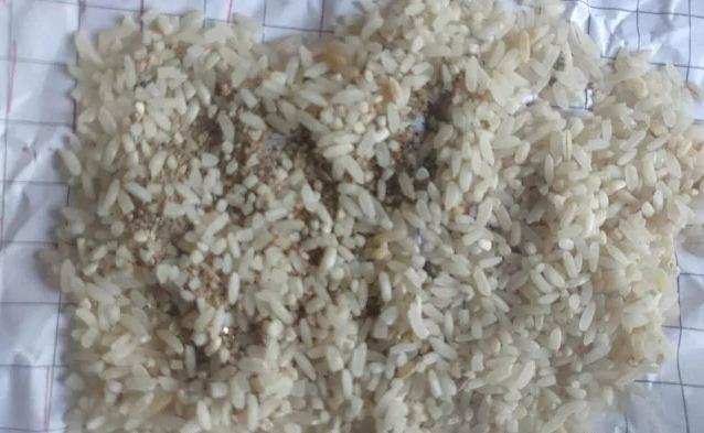 Madhya Pradesh : घटिया चावल बांटने के मामले में गुणवत्ता नियंत्रकों की सेवाएं समाप्त, एक निलंबित