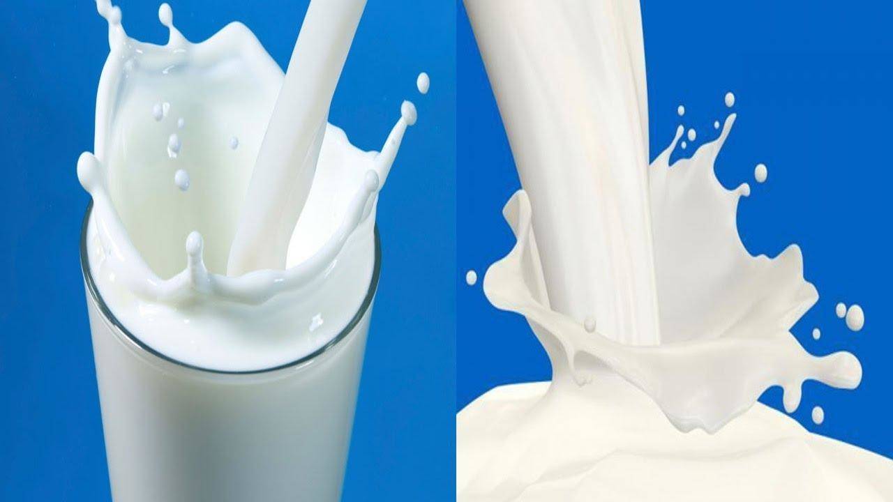 कहीं आप भी तो नहीं करते हैं कच्चे दूध का सेवन हो जाए सावधान हो सकती है यह खतरनाक बीमारियाँ