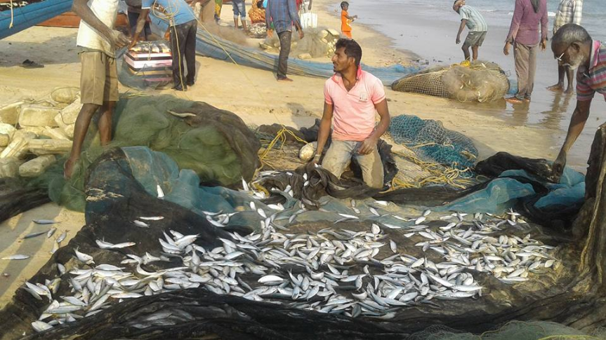 Kerala के मछुआरों के परिवारों को 10 करोड़ रुपये देने का इटली को निर्देश