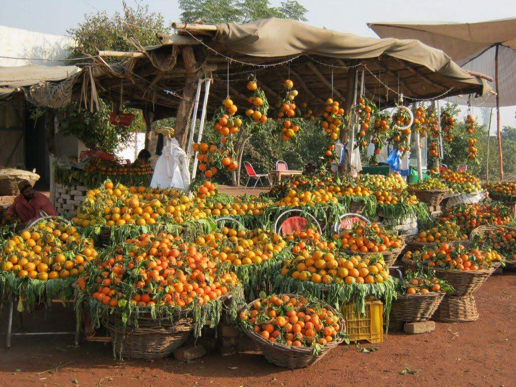 गरीबी के खिलाफ पाक का सर्जिकल स्ट्राइक -रोटी ,कपड़ा  ,मकान सरकार की जिम्मेदारी