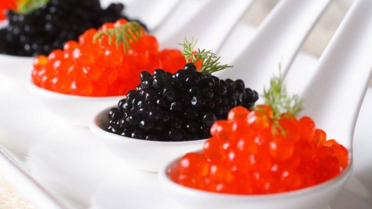 Fish eggs: मछली के अंडों से मिलेगें ये 6 फायदे