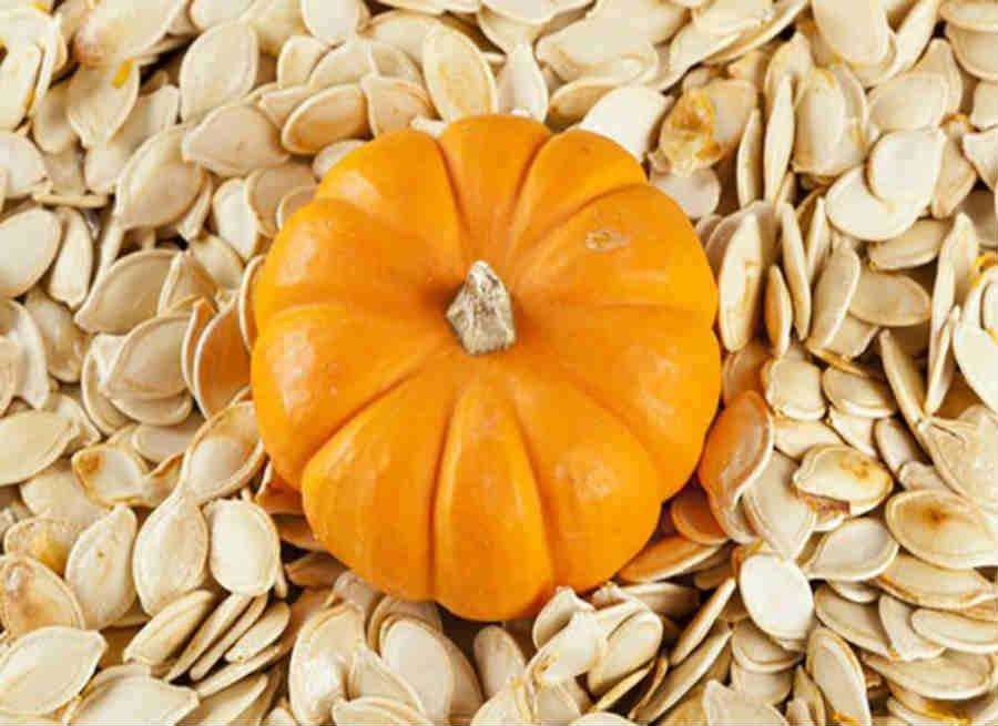 Benefits of pumpkin: कद्दू सर्दी और खांसी सहित विभिन्न बीमारियों से बचाता है