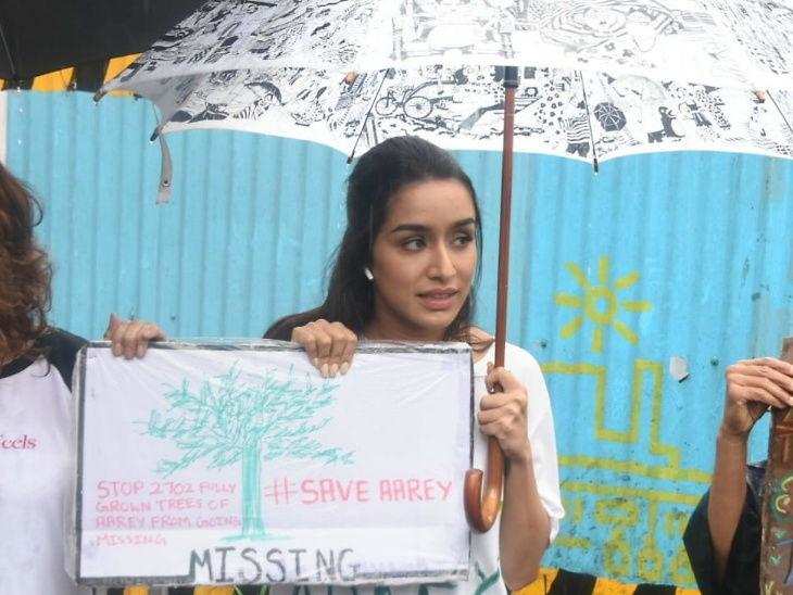 Aarey Deforestation: सरकार के फैसले से नाखुश बॉलीवुड