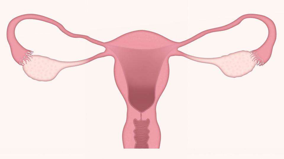 अल्प आयु में गर्भाशय से छुटकारा, महिलाओं में बन सकता है डिप्रेशन का कारण