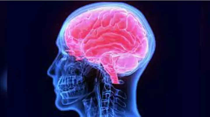 Health: दिमाग के ग्रे मैटर को कम कर सकता है कोरोना, डॉक्टरों की मांगों को लेकर नई दहशत