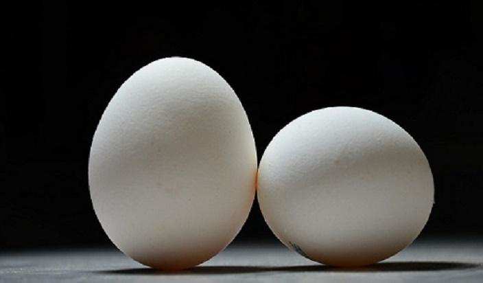 अंडे के सफेद हिस्से बनाई जायेगी कार्बन फ्री एनर्जी