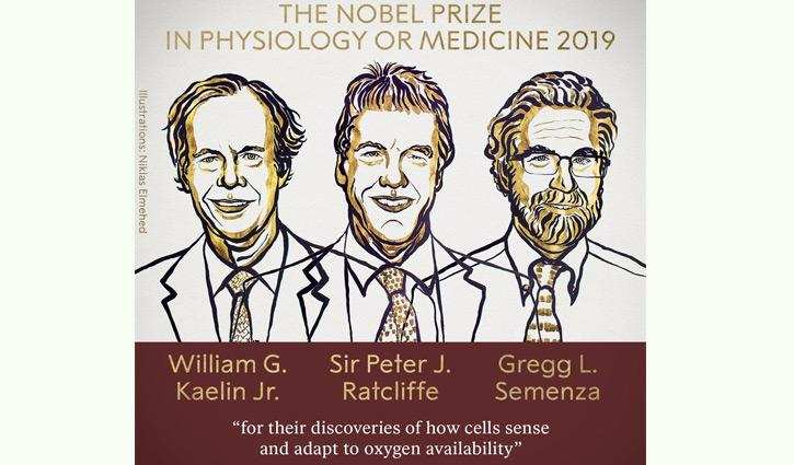 2019 नोबेल पुरस्कार संयुक्त रूप से तीन वैज्ञानिकों को दिया गया हैं।