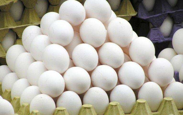 अंडों से प्रदूषण रहित बनायेंगे ऊर्जा जिससे रहेगा वातावरण शूद्ध
