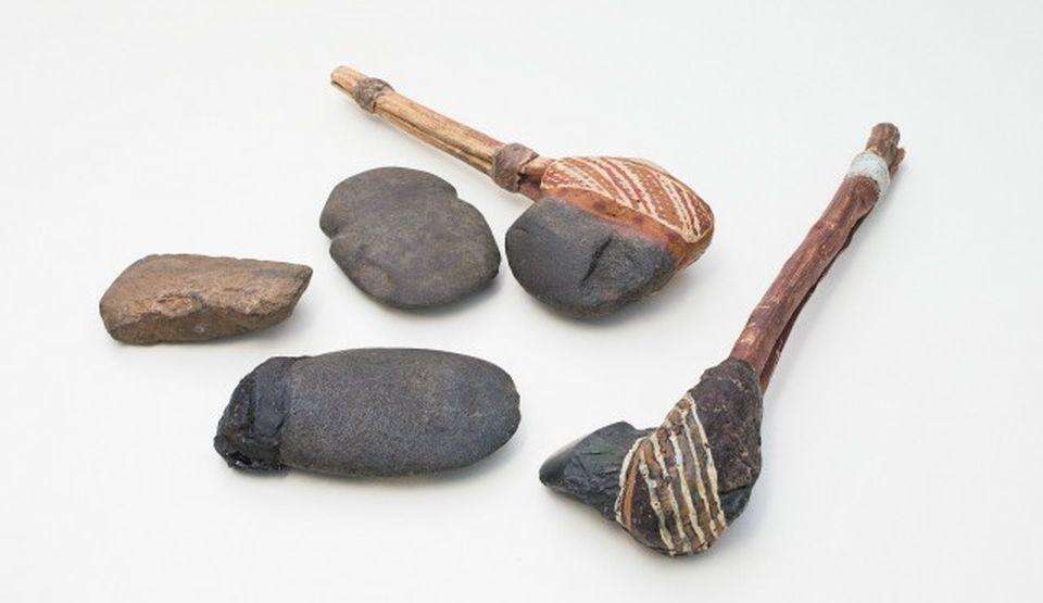 वैज्ञानिकों को मिली 50000 साल पुरानी कुल्हाड़ी, क्या खुलेंगे कुछ रहस्य