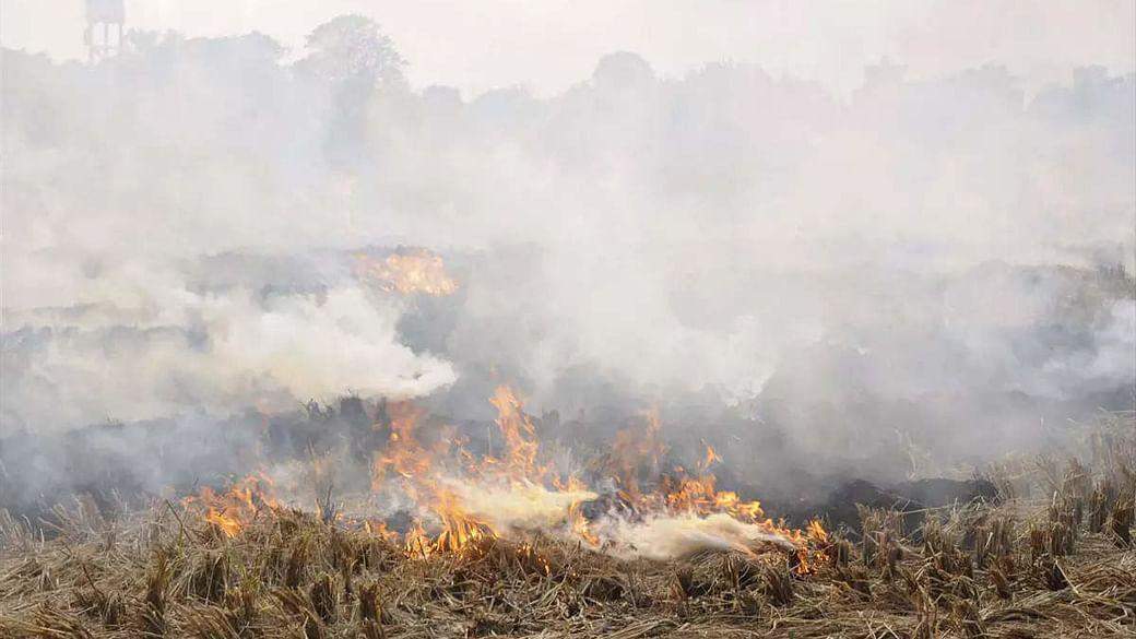 पराली के धुएं से हो रही हैं कई गुना ज्यादा मौतें : Gopal rai