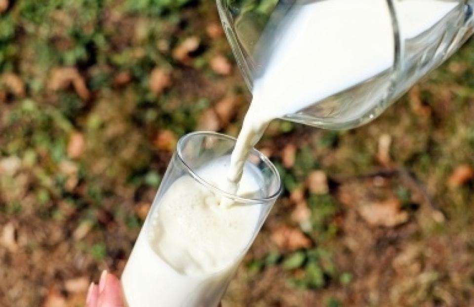 चेतावनी : डिटर्जेट के कारण भी हो सकती है दूध में झाग, यहां जानिए ! 