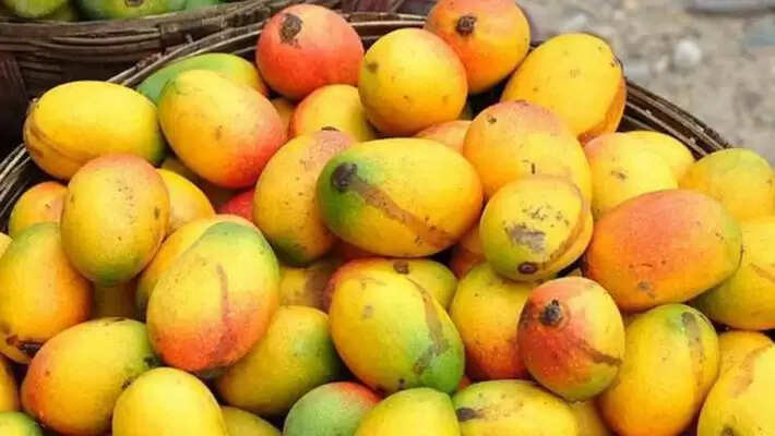 Mango Tips: कौन सा आम मीठा होता है? कैसे पहचानें