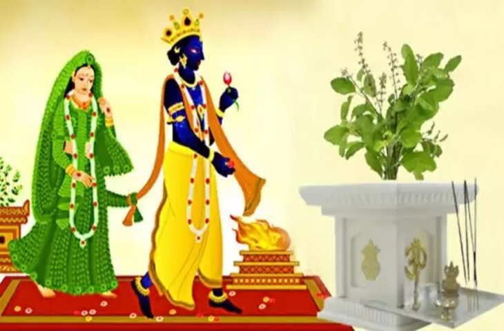 Tulsi vivah 2021 date muhurat shaligram and tulsi puja vidhi significance of tulsi vivah