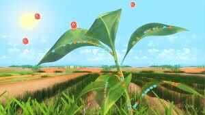 जानिए परपोषी पोषण के बारे में, कौन होते है इनमें शामिल