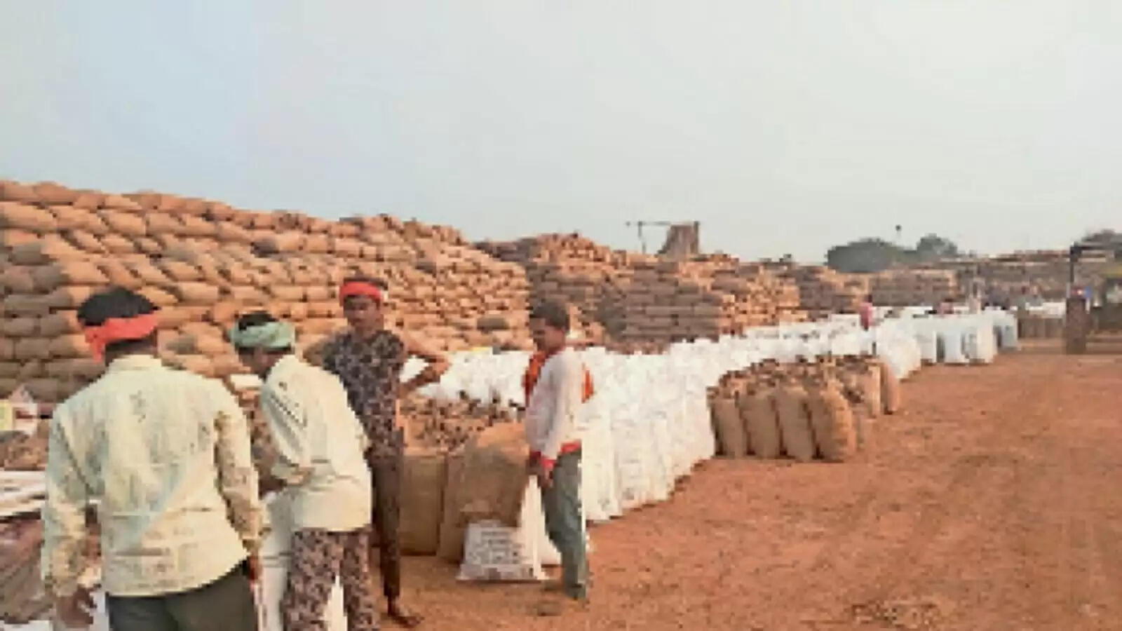 प्रतापगढ़ : गेहूं बेचने के दस दिन बाद भी नहीं आया खाते में पैसा