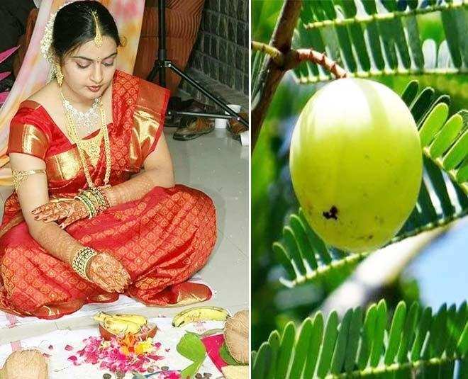 Amalaki ekadashi vrat 2021: कब है आमलकी एकादशी, जानिए इस दिन क्यों होती है आंवले के पेड़ की पूजा