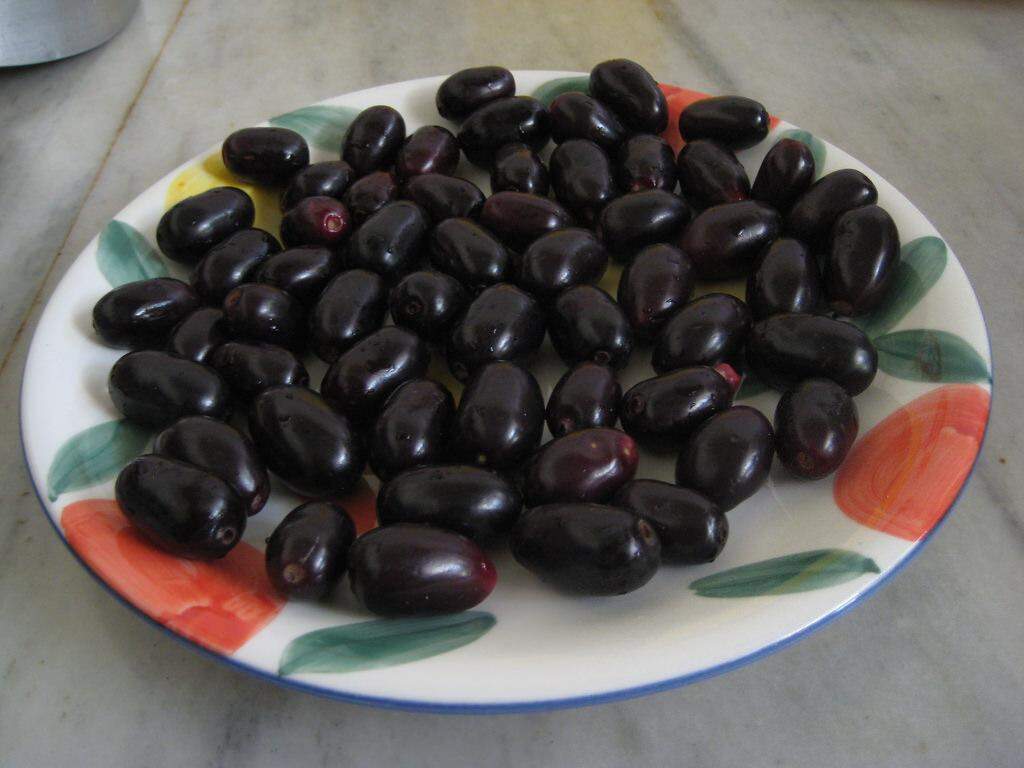 जामुन की गुठली के फायदे, जिनको जान कर आप हो जाएँगे हैरान