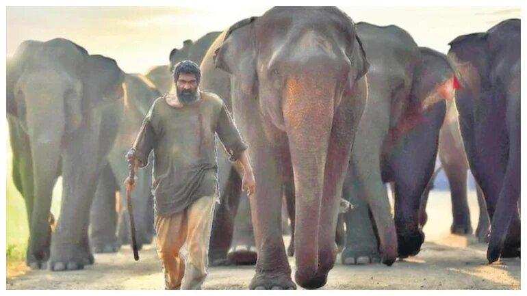 Kaadan ‘हाथी मेरे साथी’ को लेकर बना जबरदस्त बज