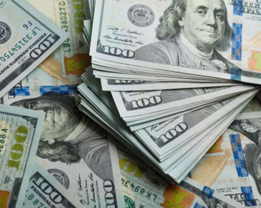 भारत के विदेशी मुद्रा भंडार में 2.51 बिलियन डॉलर से अधिक की वृद्धि हुई है