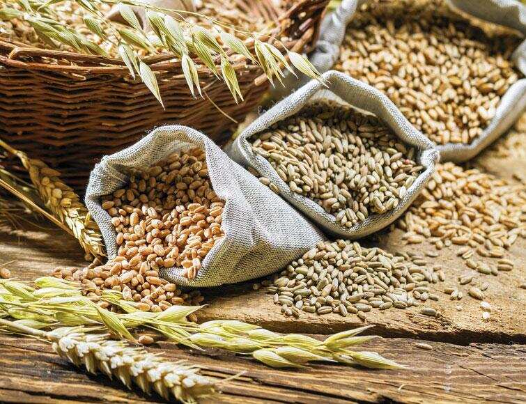 सल्फास की ज़हरीली गोली की जगह अब उपयोग में ला सकते है पाउडर