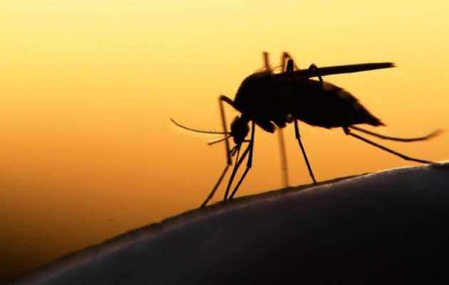 तो इस राडार ने मच्छर को 2 किलोमीटर दूर से ही मार गिराएगा, जानिये इसकी रोचक बाते