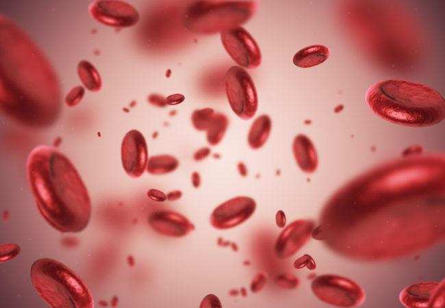 खून की जांच हर  महीने में आखिर क्यों है जरुरी क्या कहता है ब्लड टेस्ट 